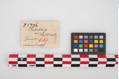 Etikett zu Bronzemehrkopfnadel (NHMW-PRAE-025786)